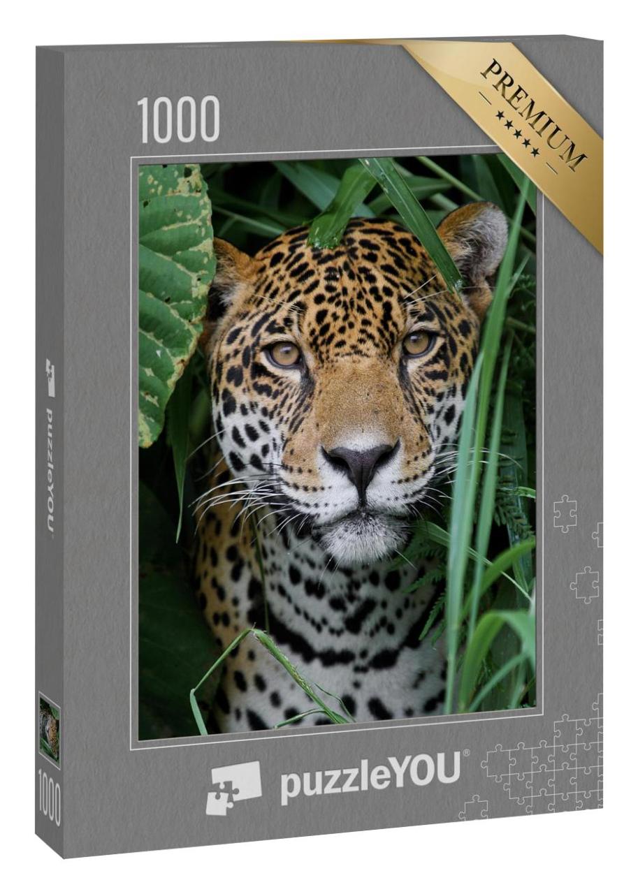 Puzzle 1000 Teile „Jaguar im Amazonas-Dschungel“