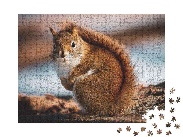 Puzzle 1000 Teile „Schönes kleines Eichhörnchen im Wald“