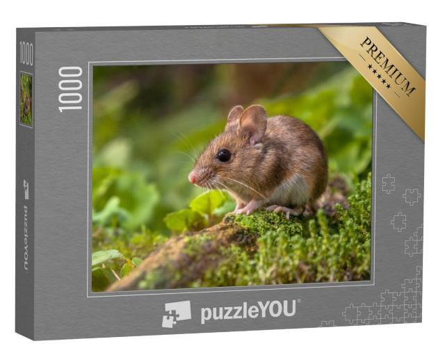 Puzzel 1000 stukjes „Een schattig bosmuisje“