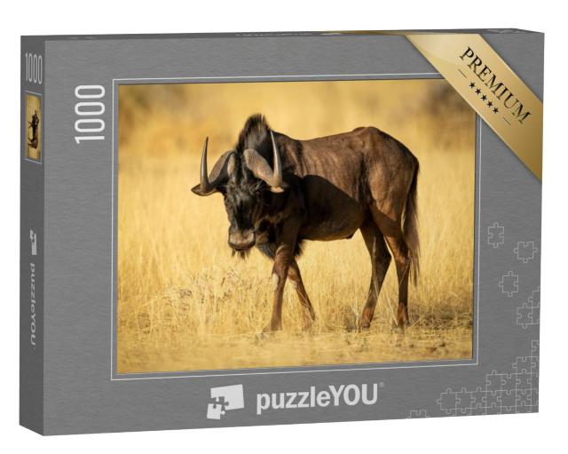 Puzzel 1000 stukjes „Zwarte gnoe in droog steppegras“