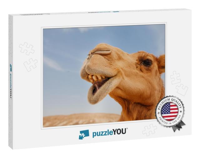 Camel in Israel Desert, Funny Close Up... Jigsaw Puzzle