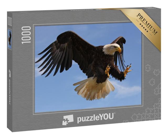 Puzzle 1000 Teile „Adler fliegt“
