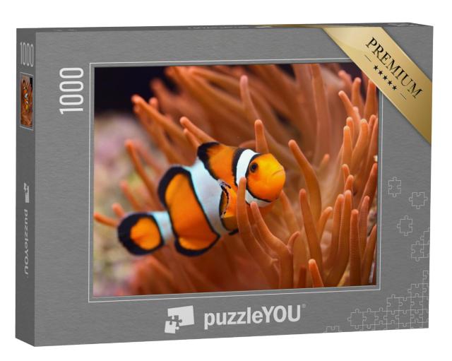 Puzzel 1000 stukjes „Clownvissen in een zeeaquarium“