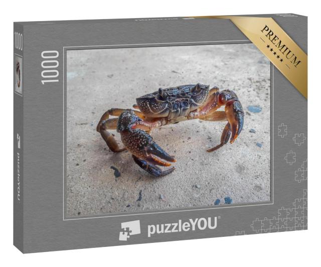 Puzzle 1000 Teile „Die schwarze Krabbe“