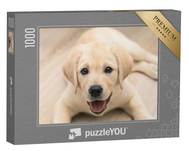 Puzzel 1000 stukjes „Aanbiddelijke gouden Labrador puppy in close-up“