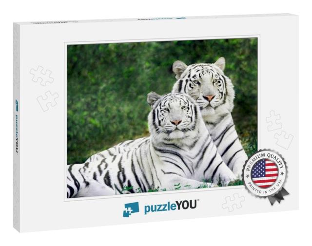 Beautiful White Tigers Couple in Forest... Jigsaw Puzzle