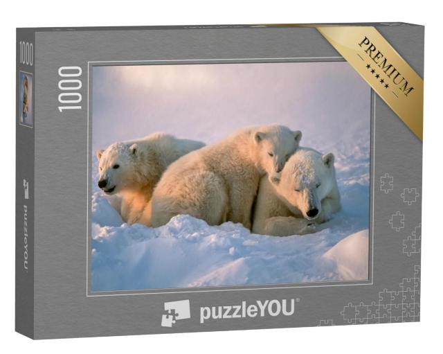 Puzzel 1000 stukjes „Ijsbeer met haar welpen“