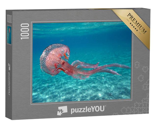 Puzzel 1000 stukjes „Pelagia noctiluca kwal in de zee bij het eiland Elba“