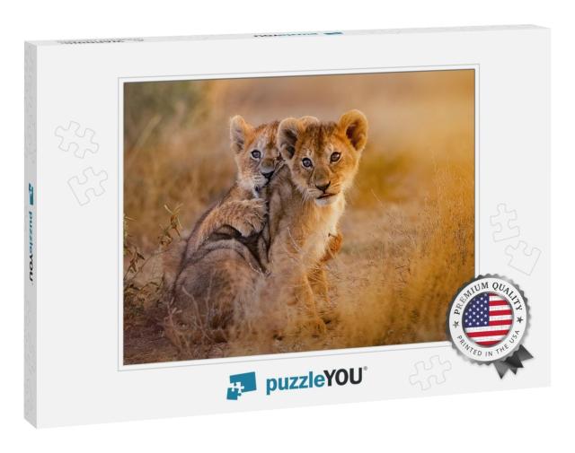 Lion Cubs Playing... Jigsaw Puzzle