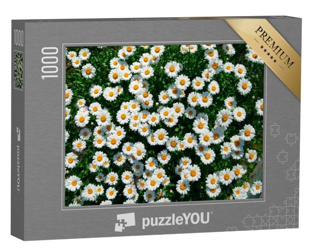 Puzzel 1000 stukjes „Madeliefjes in het veld“