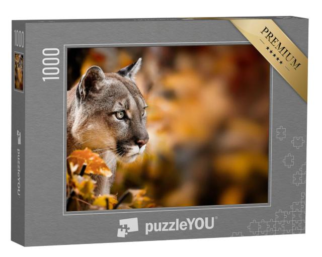 Puzzel 1000 stukjes „Poema, ook bekend als de bergleeuw“