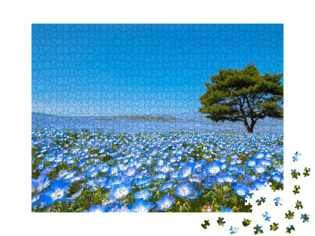 Puzzle 1000 Teile „Blauer Blumenteppich im Hitachi Seaside Park, Japan“