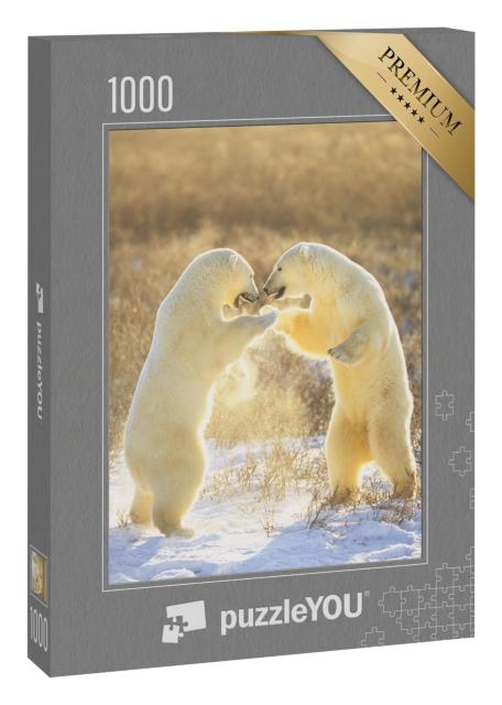 Puzzle 1000 Teile „Eisbären aus Kanada, Jungtiere“