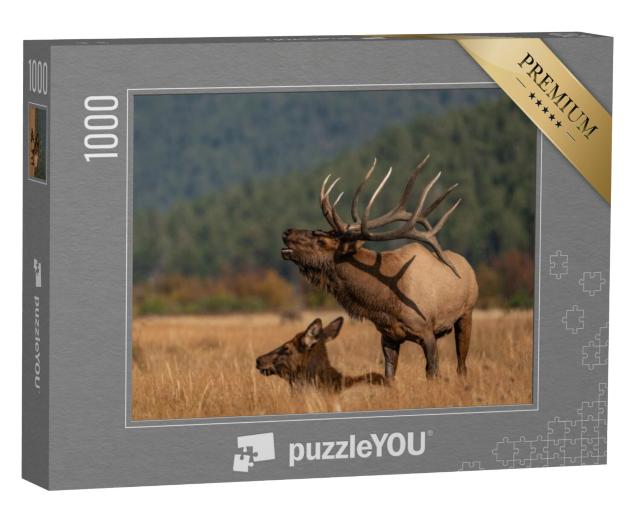 Puzzel 1000 stukjes „Elanden in het westen“