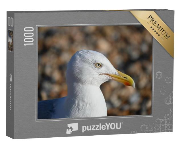 Puzzel 1000 stukjes „Close-up van een zeemeeuw“