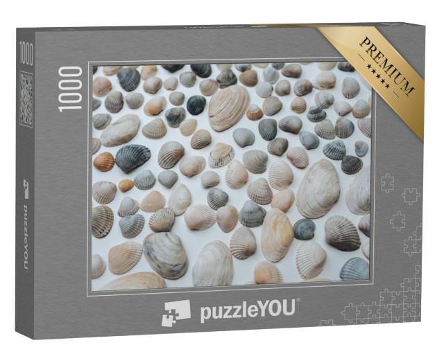 Puzzel 1000 stukjes „Veel mooie schelpen“