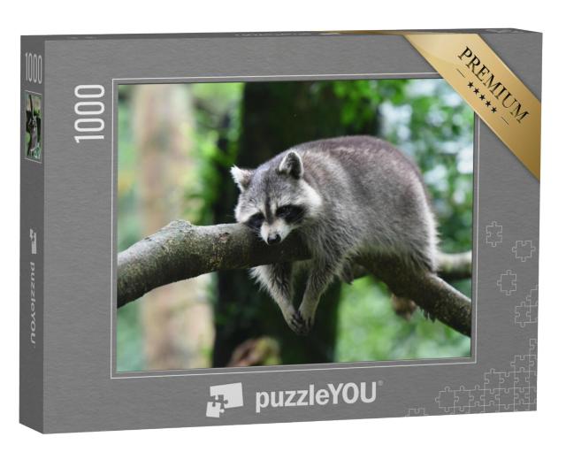 Puzzel 1000 stukjes „Ontspannen wasbeer neemt pauze op een tak“