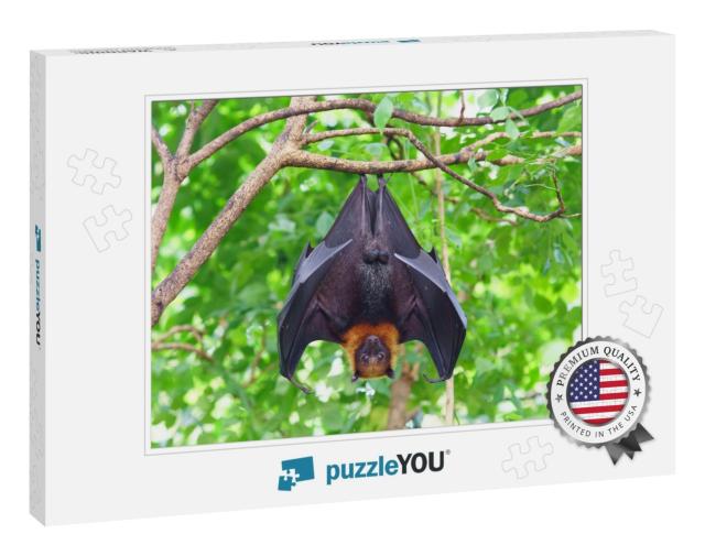 Fruit Bat Hanging on Tree in Forest. Lyles Flying Fox... Jigsaw Puzzle
