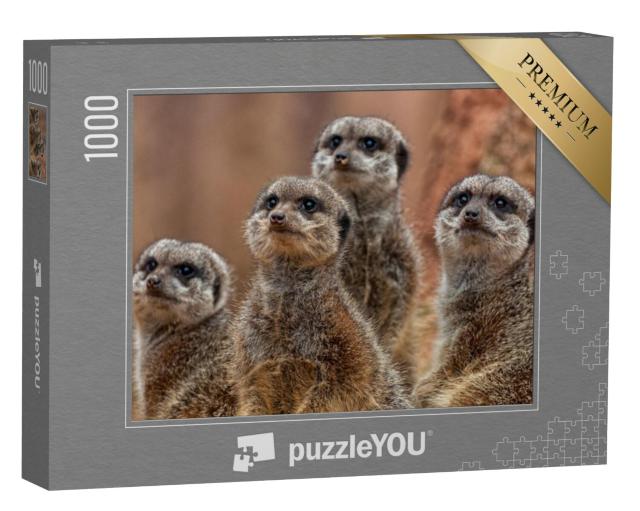 Puzzel 1000 stukjes „Een groep schattige stokstaartjes“