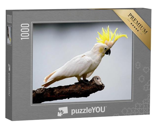 Puzzel 1000 stukjes „Kaketoe“