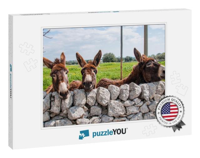 Cute Donkeys Look Out from a Stone Wall Typical of the Mo... Jigsaw Puzzle