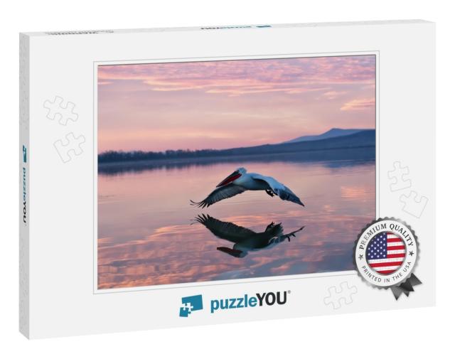 Pelican Flying Over Water in Sunrise, Pelican in Sunrise... Jigsaw Puzzle