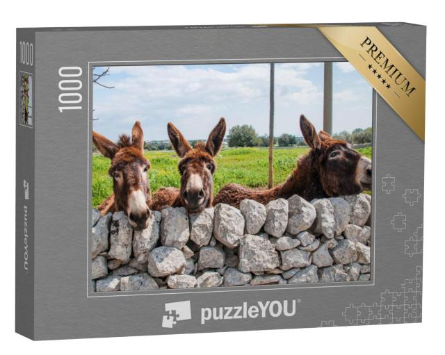 Puzzel 1000 stukjes „Ezels kijken door een stenen muur, Modica“