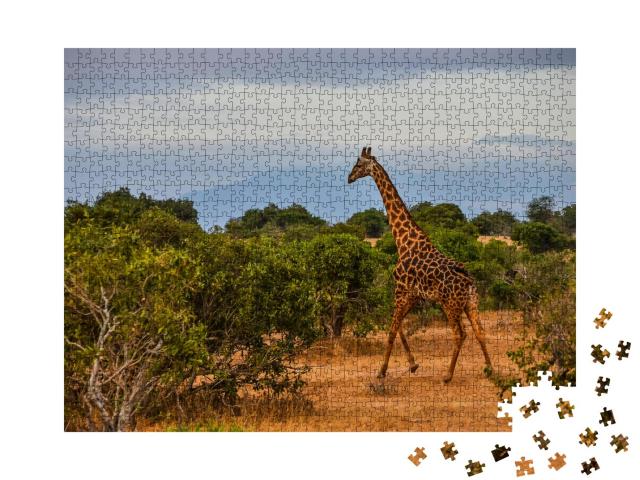 Puzzle 1000 Teile „Giraffe inmitten der kenianischen Savanne“