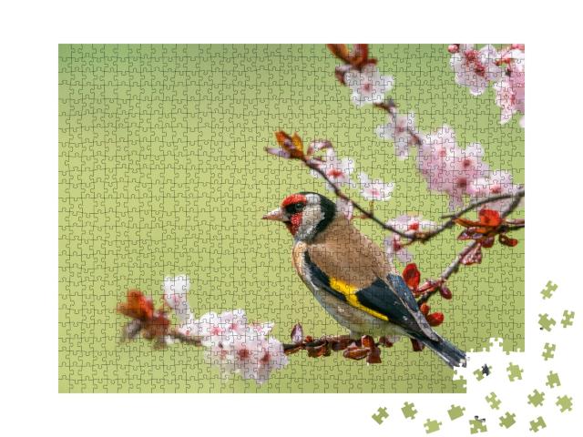 Puzzle 1000 Teile „Bunter Stieglitz auf einem Blütenzweig“