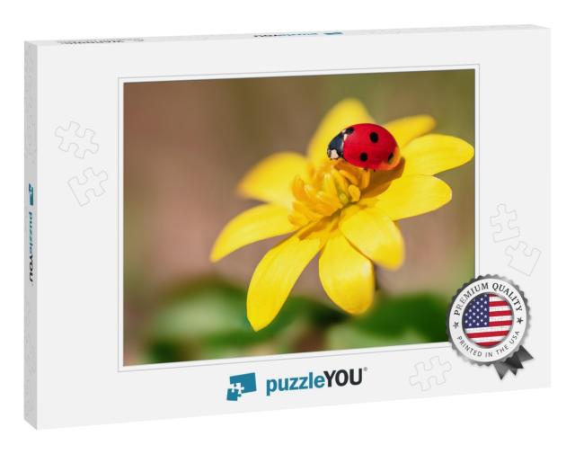 Chamomile & Yellow Flowers with Ladybug... Jigsaw Puzzle