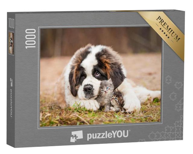 Puzzel 1000 stukjes „Beste vrienden: Sint Bernard puppy met kleine kitten“