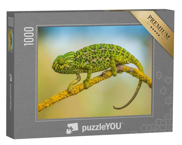 Puzzel 1000 stukjes „Gewone kameleon“