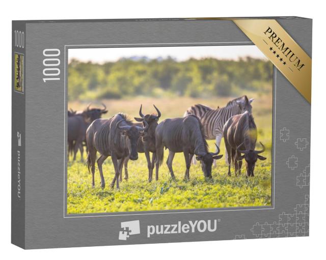 Puzzel 1000 stukjes „Gnoes grazen in de rivierbedding van Mooiplaas“