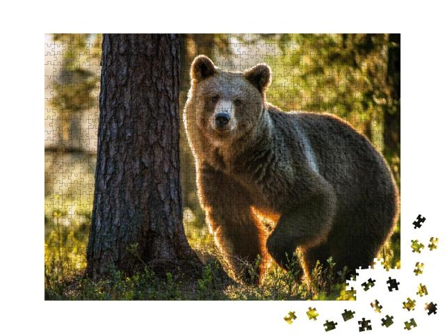 Puzzle 1000 Teile „Braunbär im Sommerwald“