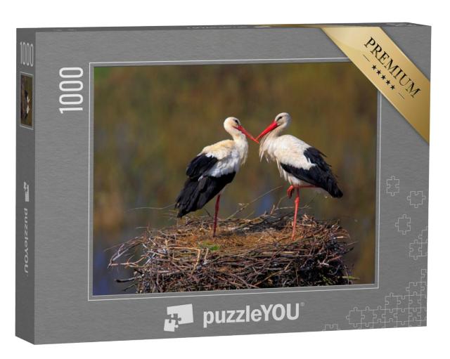 Puzzel 1000 stukjes „Paar witte ooievaars tijdens het broedseizoen in het voorjaar“