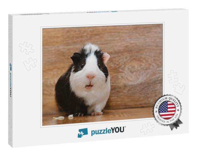 Little Black & White Guinea Eating Cabbage Leaf... Jigsaw Puzzle