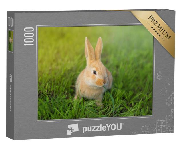 Puzzel 1000 stukjes „Schattig konijn kauwend in het groene gras“