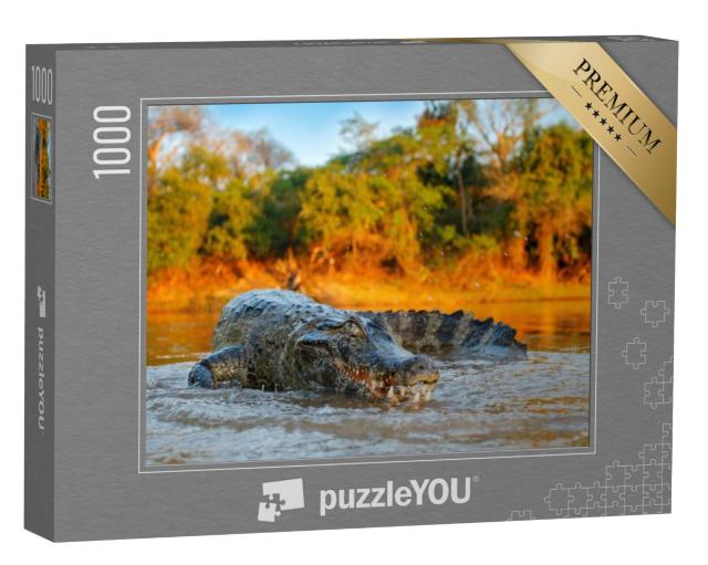 Puzzel 1000 stukjes „Krokodil op de rivieroever, Bolivia“