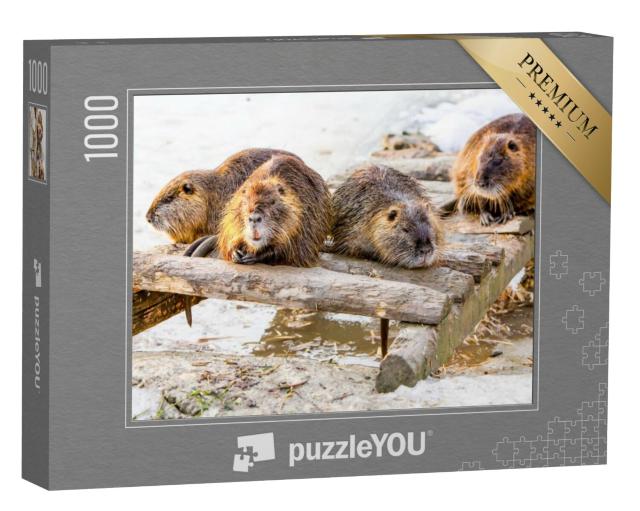 Puzzel 1000 stukjes „Een beverfamilie neemt een pauze“