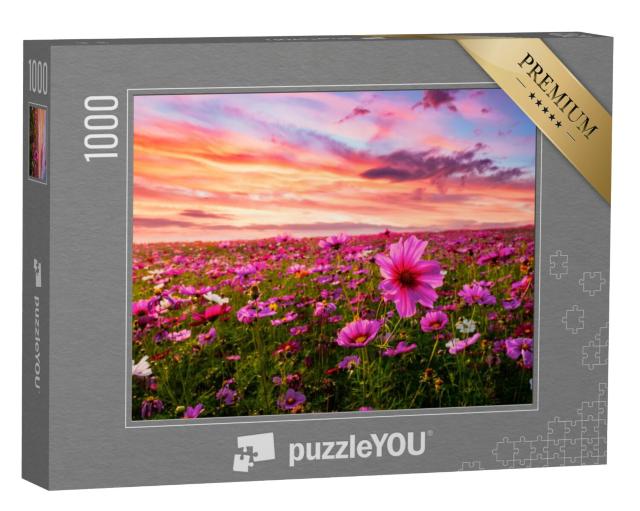 Puzzel 1000 stukjes „Cosmosbloemen bloeien voor zonsondergang“