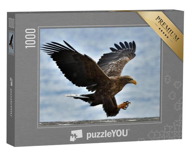 Puzzel 1000 stukjes „Zeearend vliegt tegen een blauwe lucht“