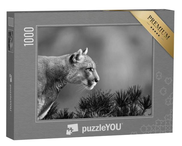 Puzzel 1000 stukjes „Zijportret van een poema“