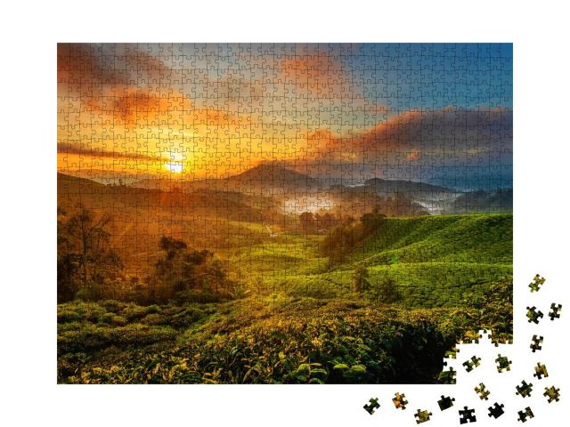 Puzzle 1000 Teile „Sonnenaufgang über einer Teeplantage im Cameron Highland, Malaysia“