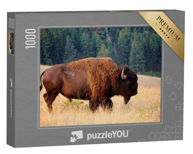 Puzzel 1000 stukjes „Amerikaanse bizon in de vroege ochtend, Montana“