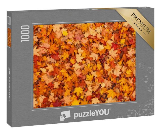 Puzzle 1000 Teile „Rote und orangene Herbstblätter“