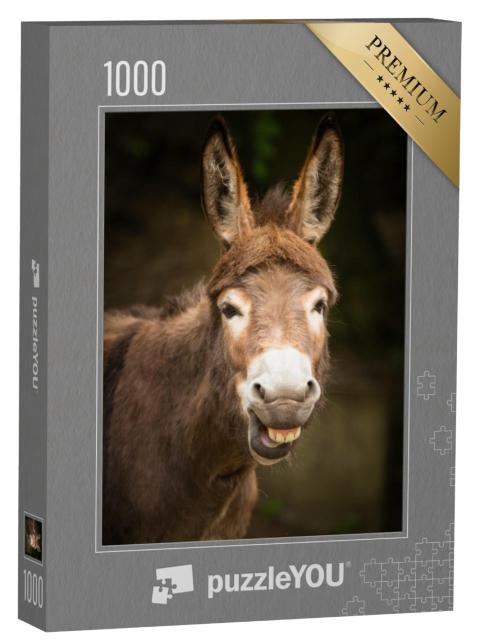 Puzzel 1000 stukjes „Een ezel“