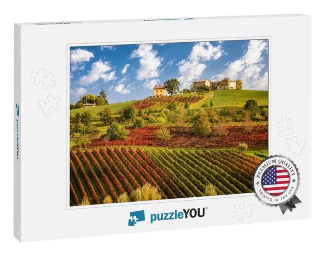 Lambrusco Vineyards Near Castelvetro, Modena Province, Em... Jigsaw Puzzle