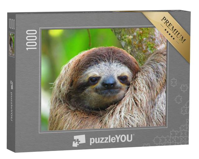 Puzzel 1000 stukjes „Wakkere luiaard uit Costa Rica“