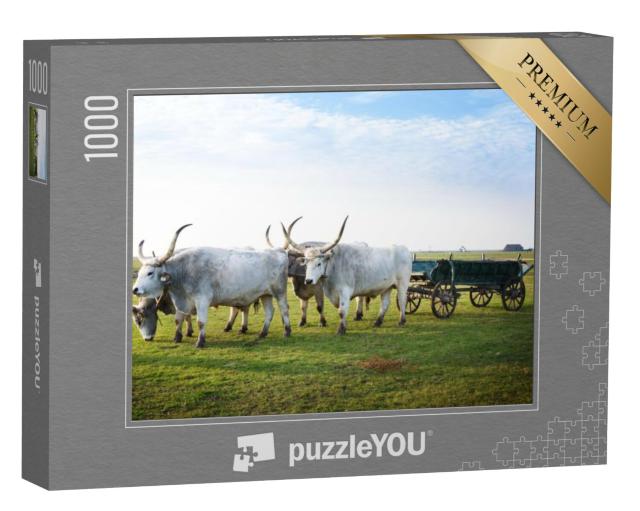 Puzzel 1000 stukjes „Nationaal Park Hortobagy, Hongarije“