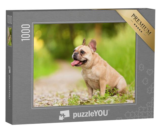 Puzzel 1000 stukjes „Close-up van een Franse Bulldog“